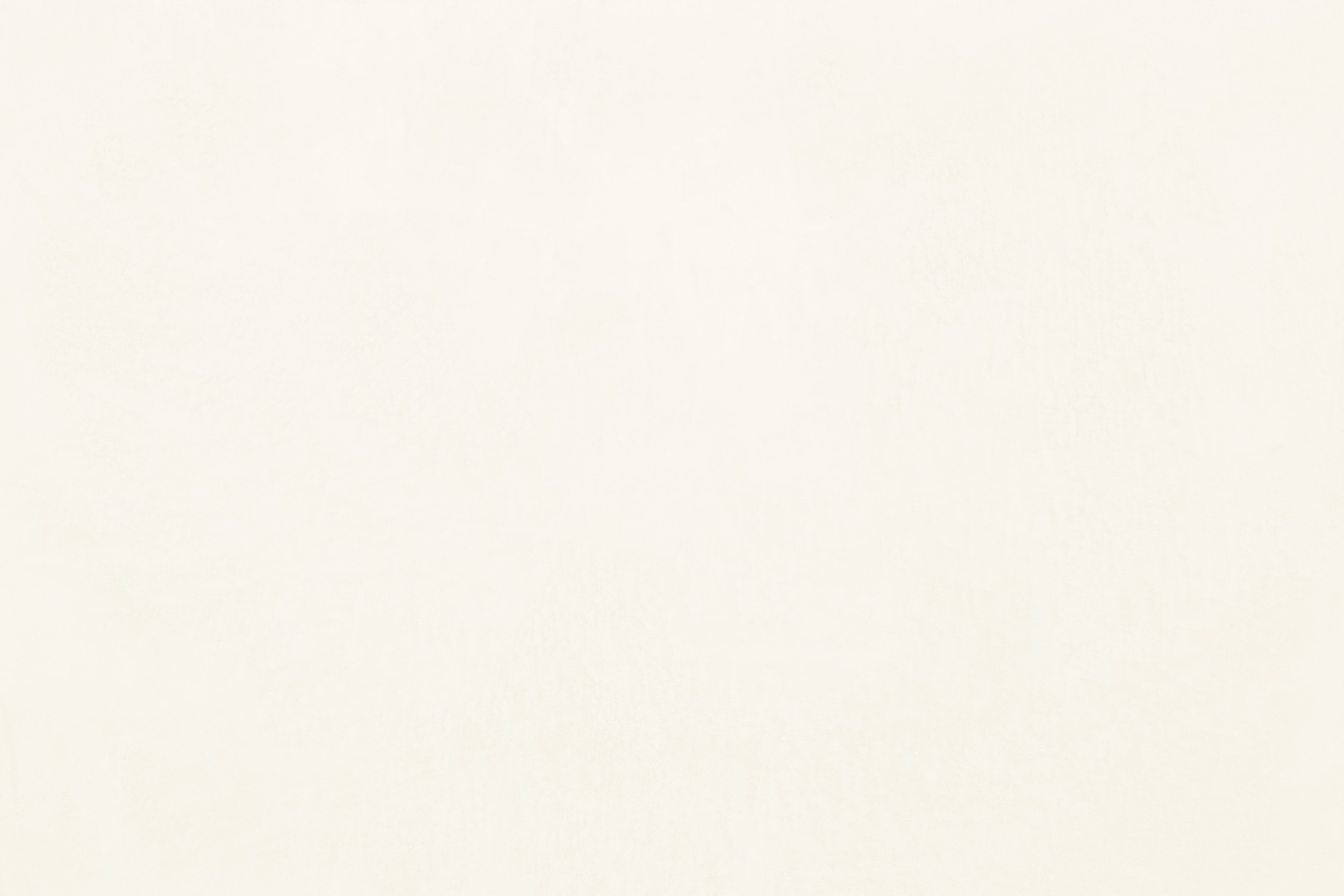 Claytec Yosima Lehm-Farbspachtel Weiss
