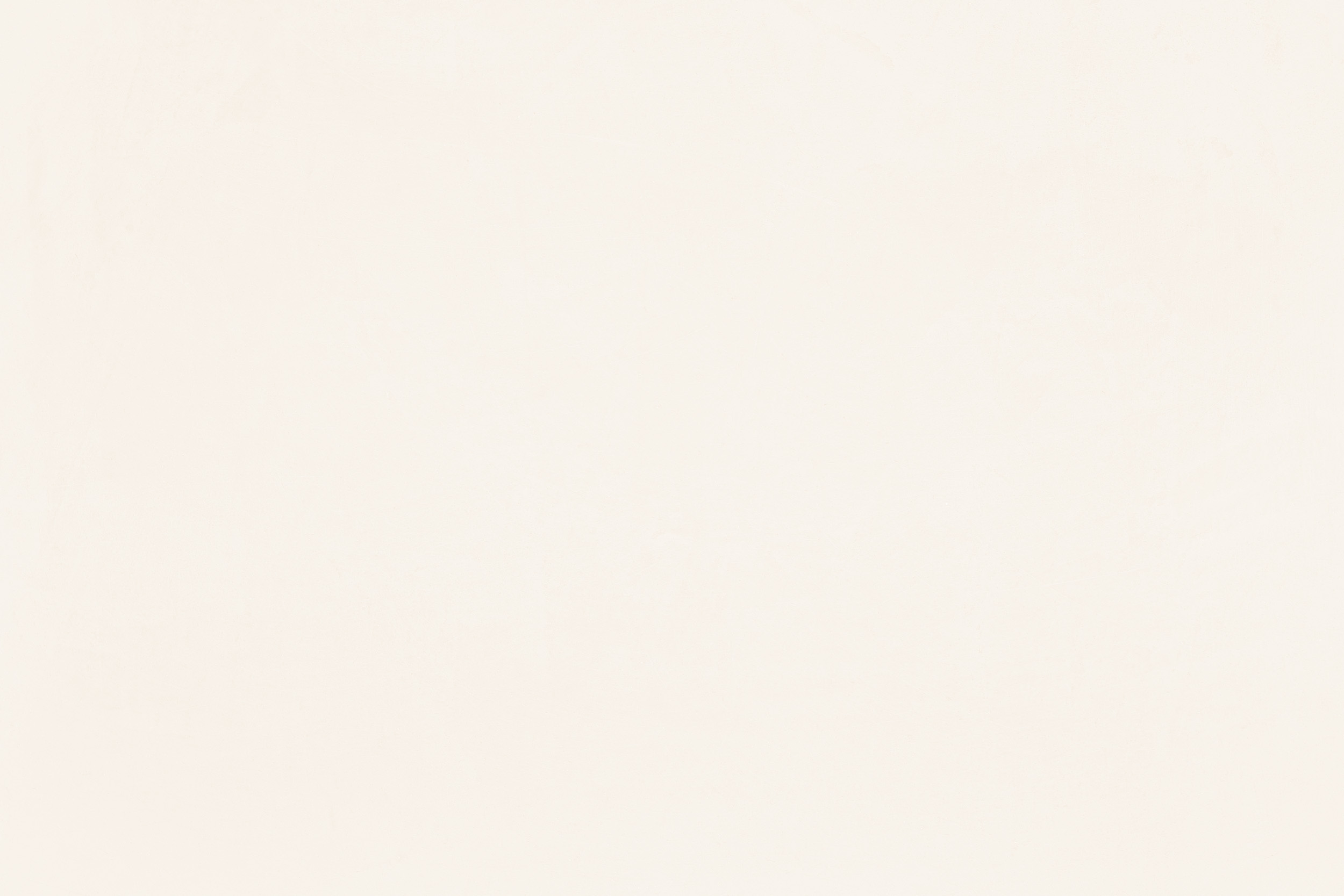 Claytec Yosima Lehm-Farbspachtel Magnolien-Weiss