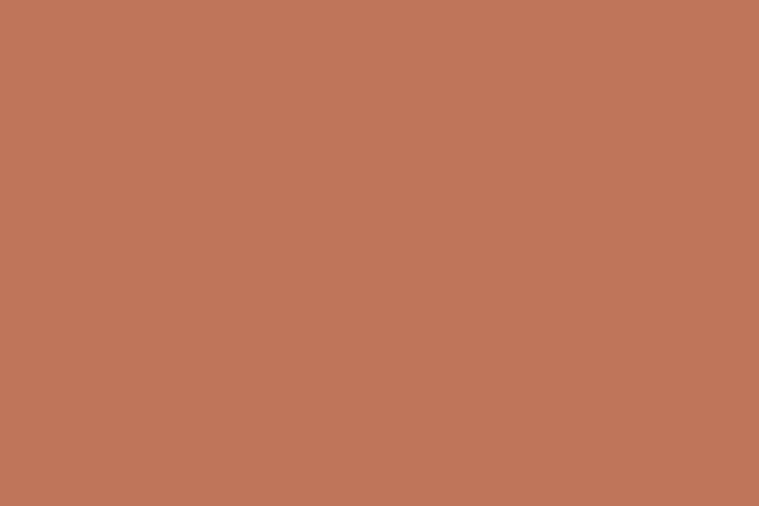 Volvox Lehmedelputz Terracotta
