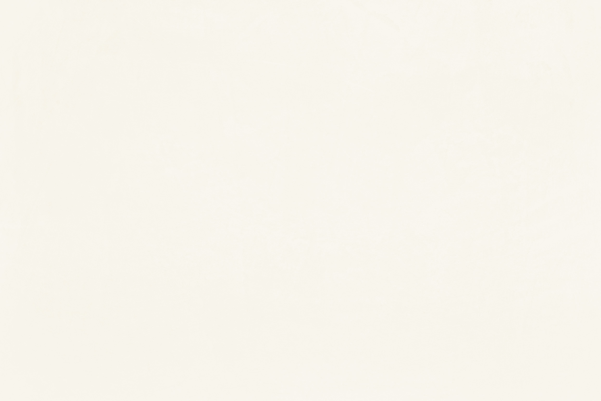 Claytec Yosima Lehm-Farbspachtel Weiss