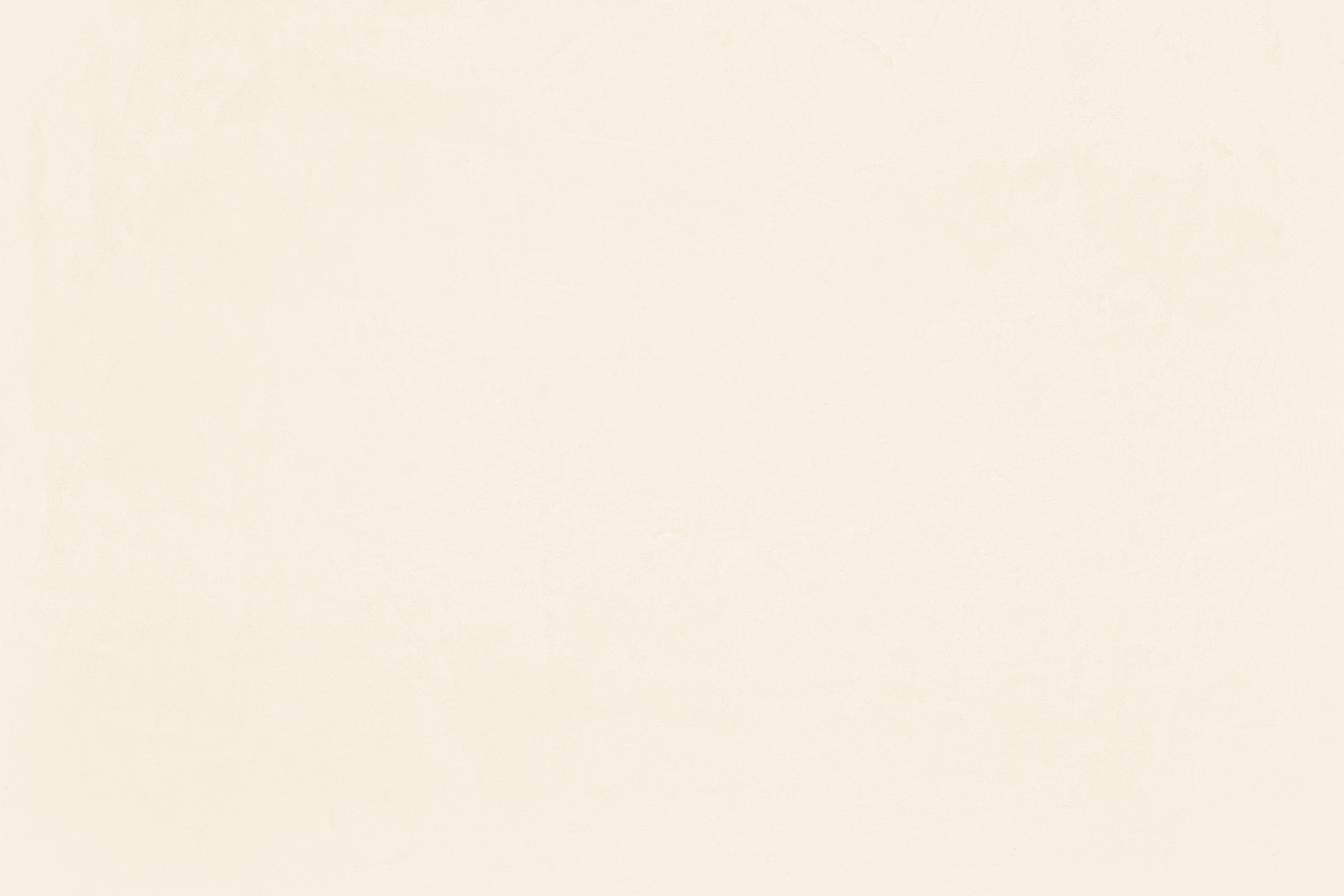 Claytec Yosima Lehm-Farbspachtel Edel-Weiss