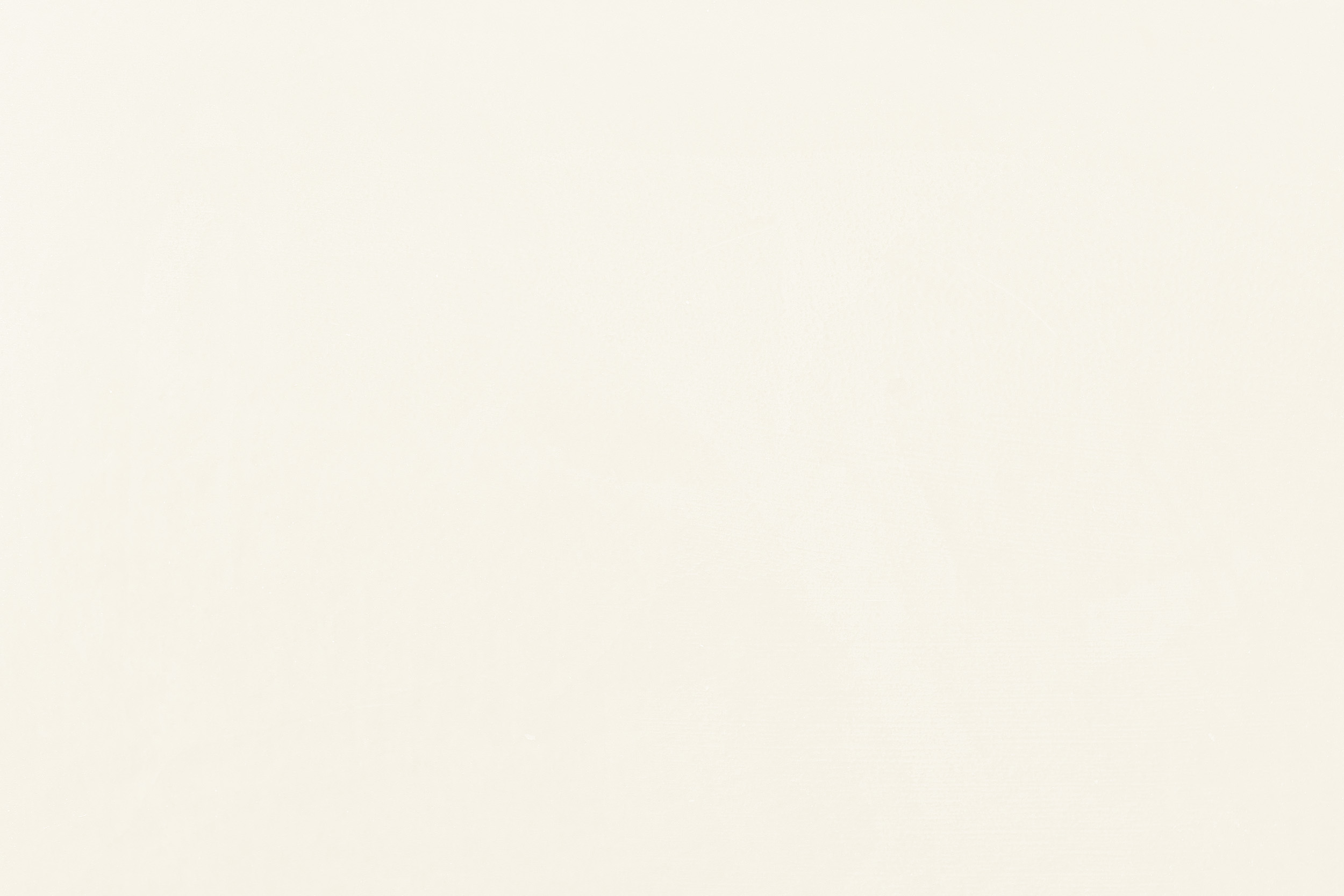 Claytec Yosima Lehm-Farbspachtel Weiss