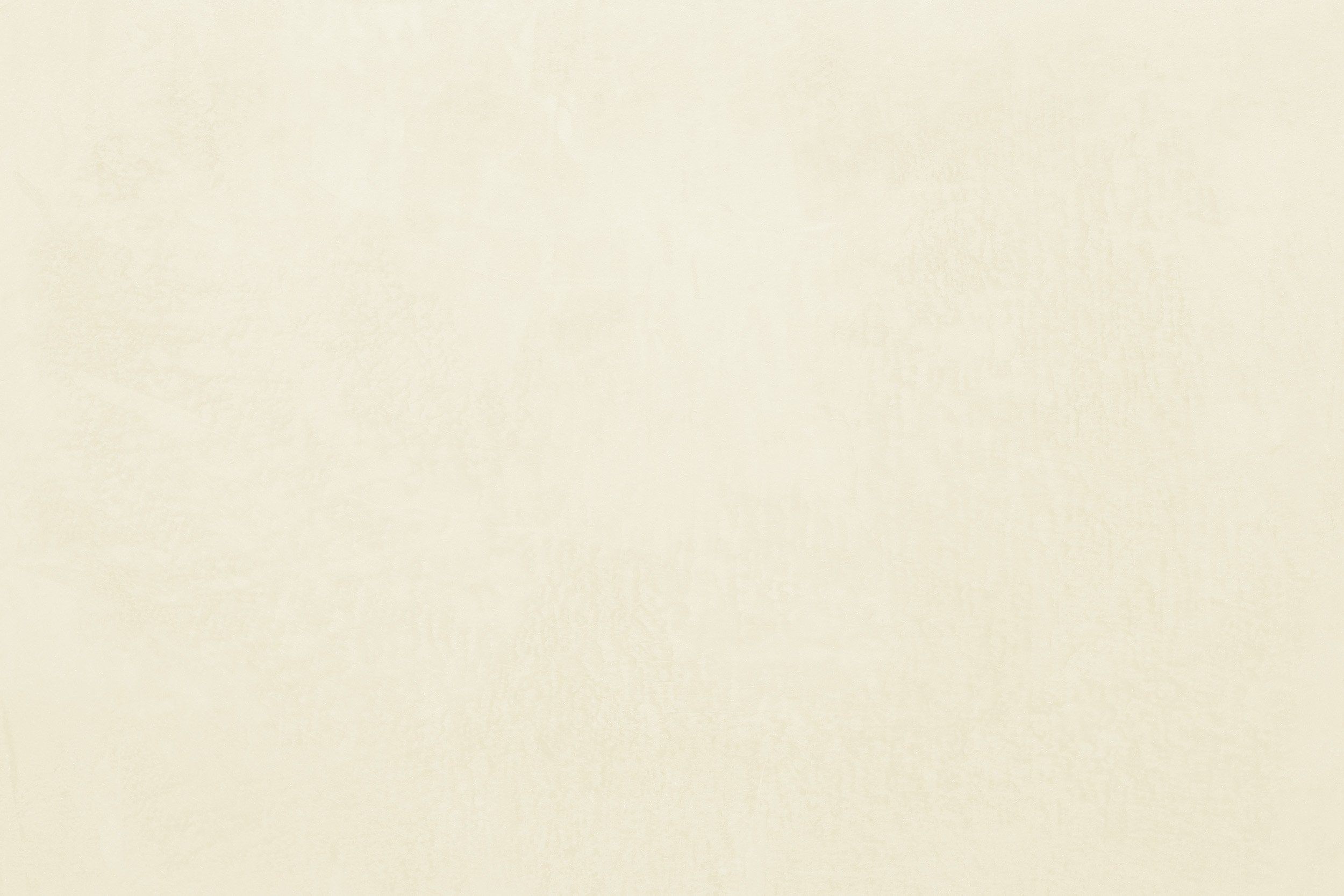 Claytec Yosima Lehm-Farbspachtel Alt-Weiss