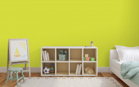 AURO Colours For Life Lehmfarbe - bright green 1 Liter