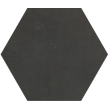 6-60 - ø¸ 16,0 x 1,6 cm - Sechseckplatte Standardfarbe schwarz