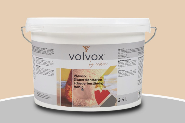 Volvox Valioso Dispersionsfarbe Zimt Flesh