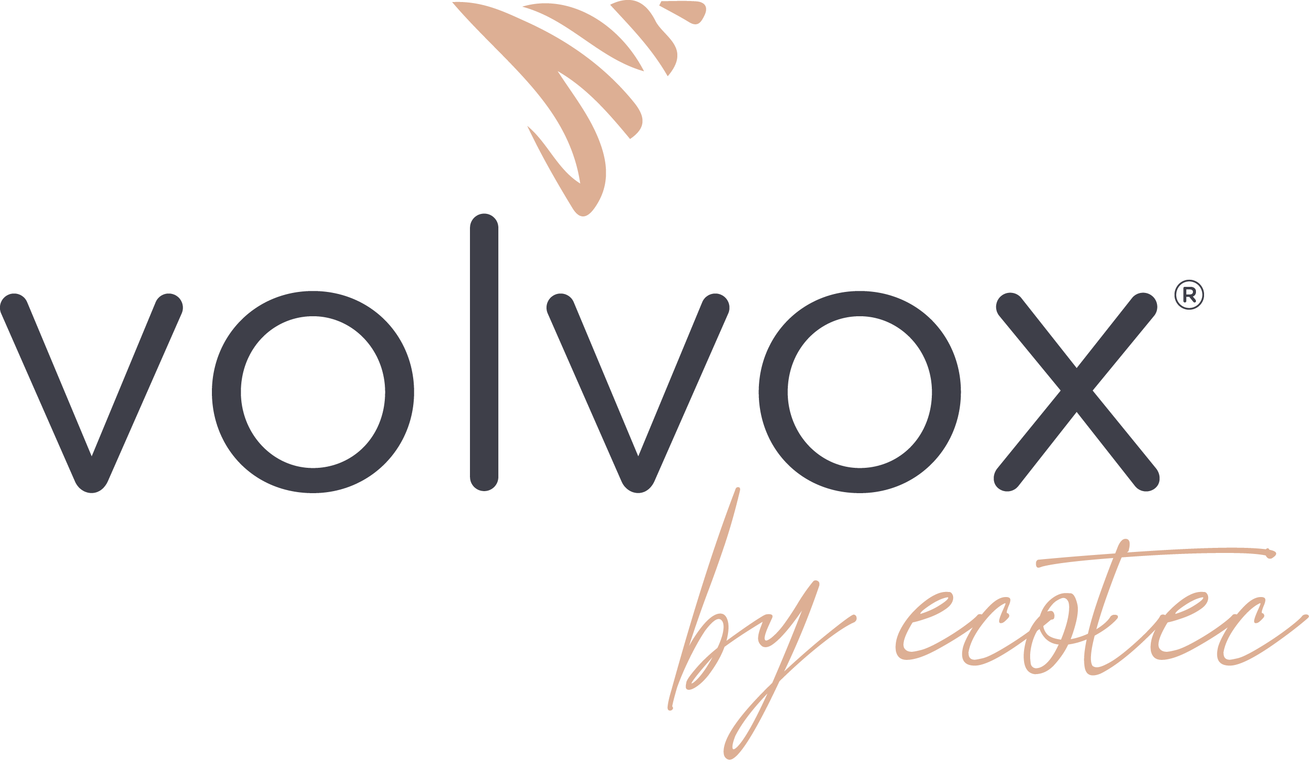 Volvox